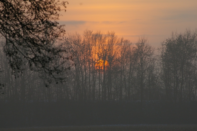 Sonnenuntergang im Nebel, Jan. 2009