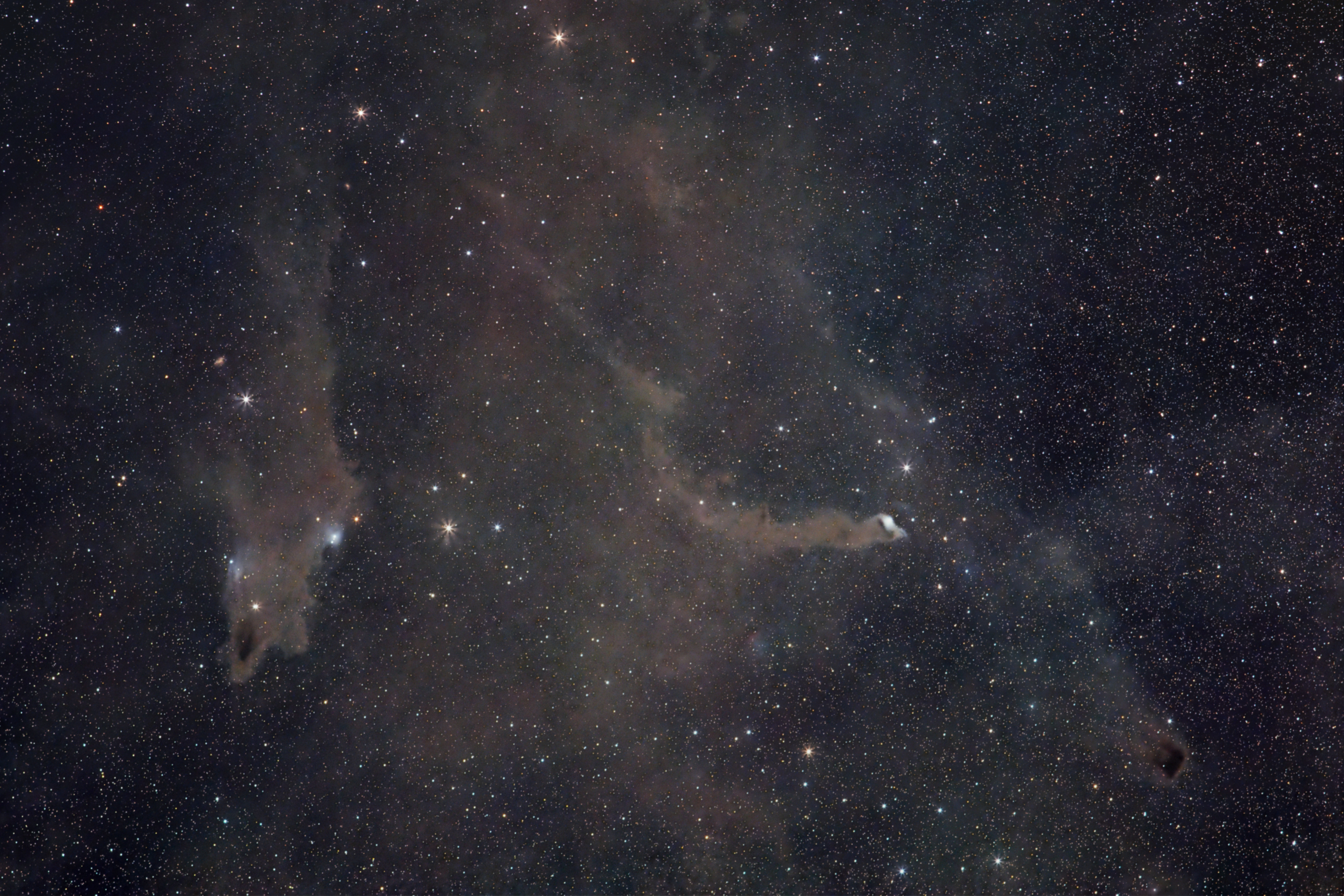 Cepheus_250825