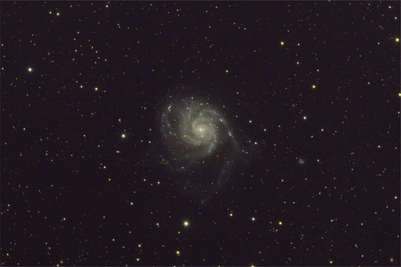 M101_220501