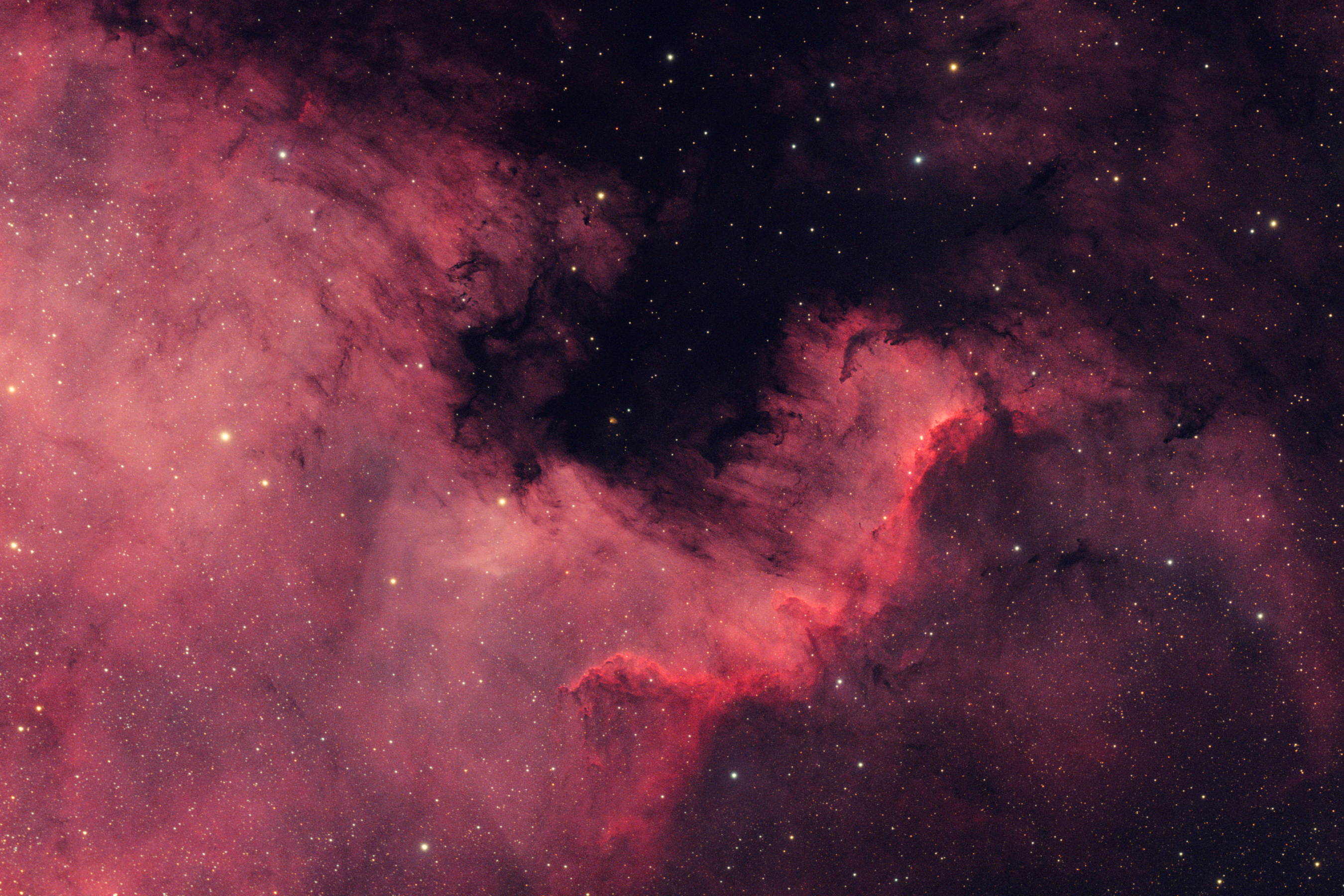 NGC7000_230628