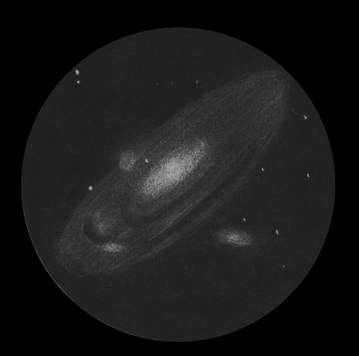 M31_16z.jpg